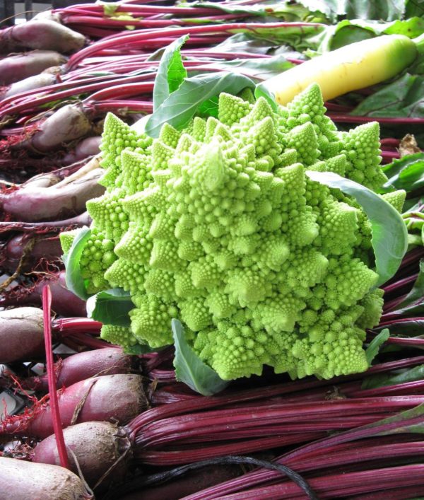 Chou-fleur lime Romanesco